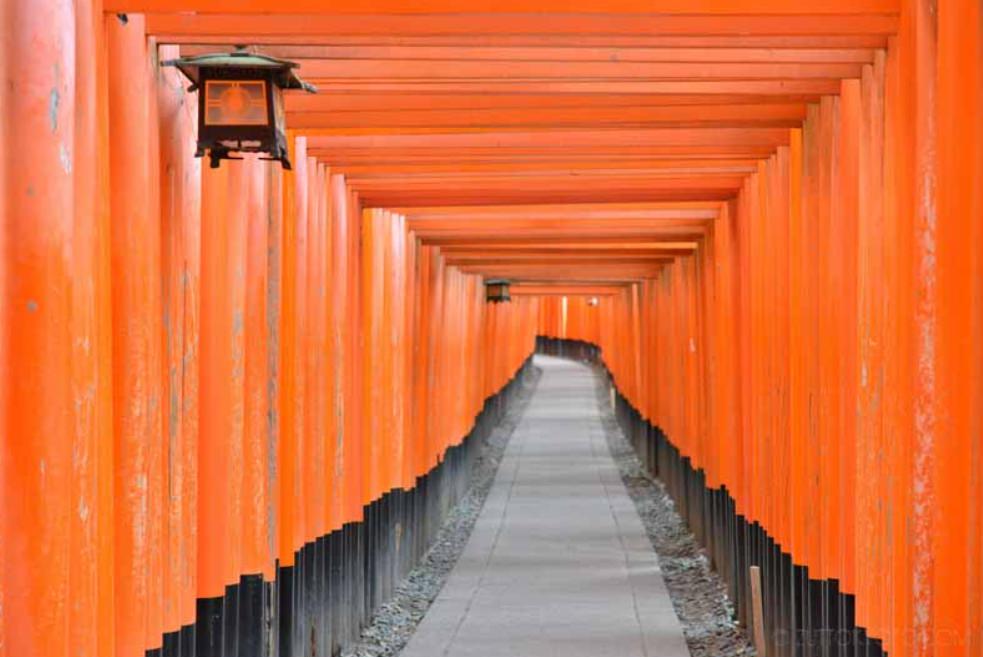京都,京都旅遊,京都景點,京都自由行,女子旅