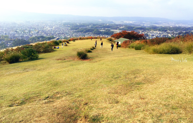 延伸閱讀：日本古都奈良旅遊提案！IG打卡美照地標，登上三大夜景之一的療癒系若草山，俯瞰奈良市景及絕美夜景