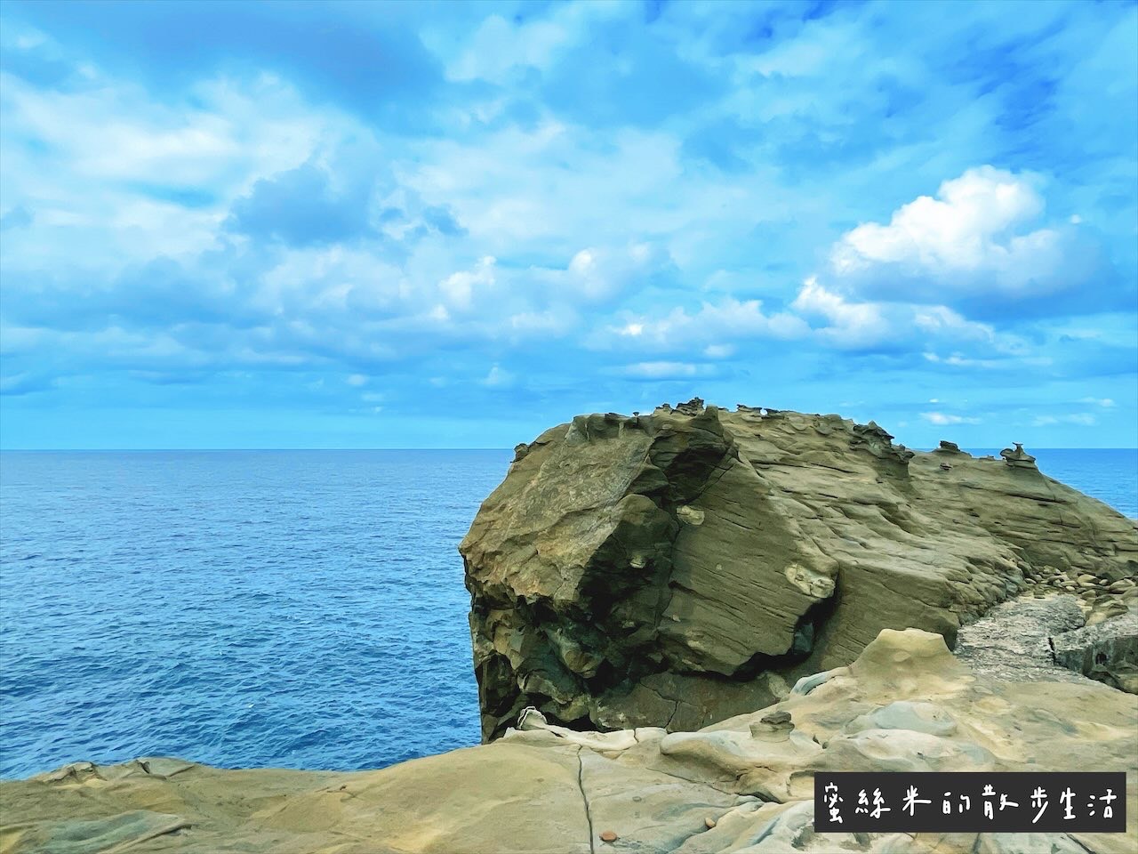 新北景點,水豚君岩,深澳漁港,深澳漁港卡比巴拉,深澳漁港水豚