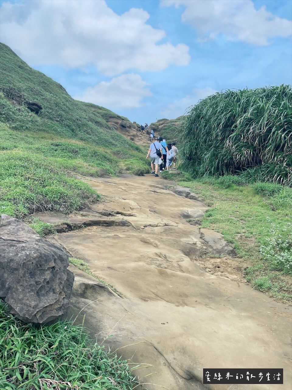 新北景點,水豚君岩,深澳漁港,深澳漁港卡比巴拉,深澳漁港水豚