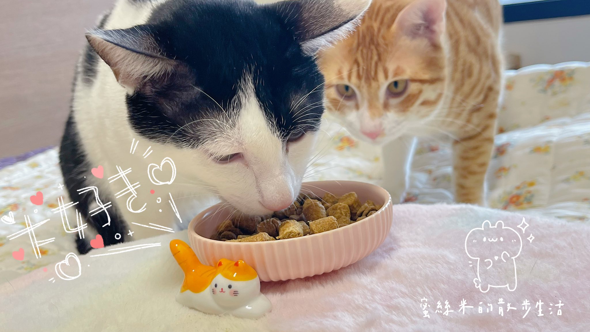  @蜜絲米的散步生活