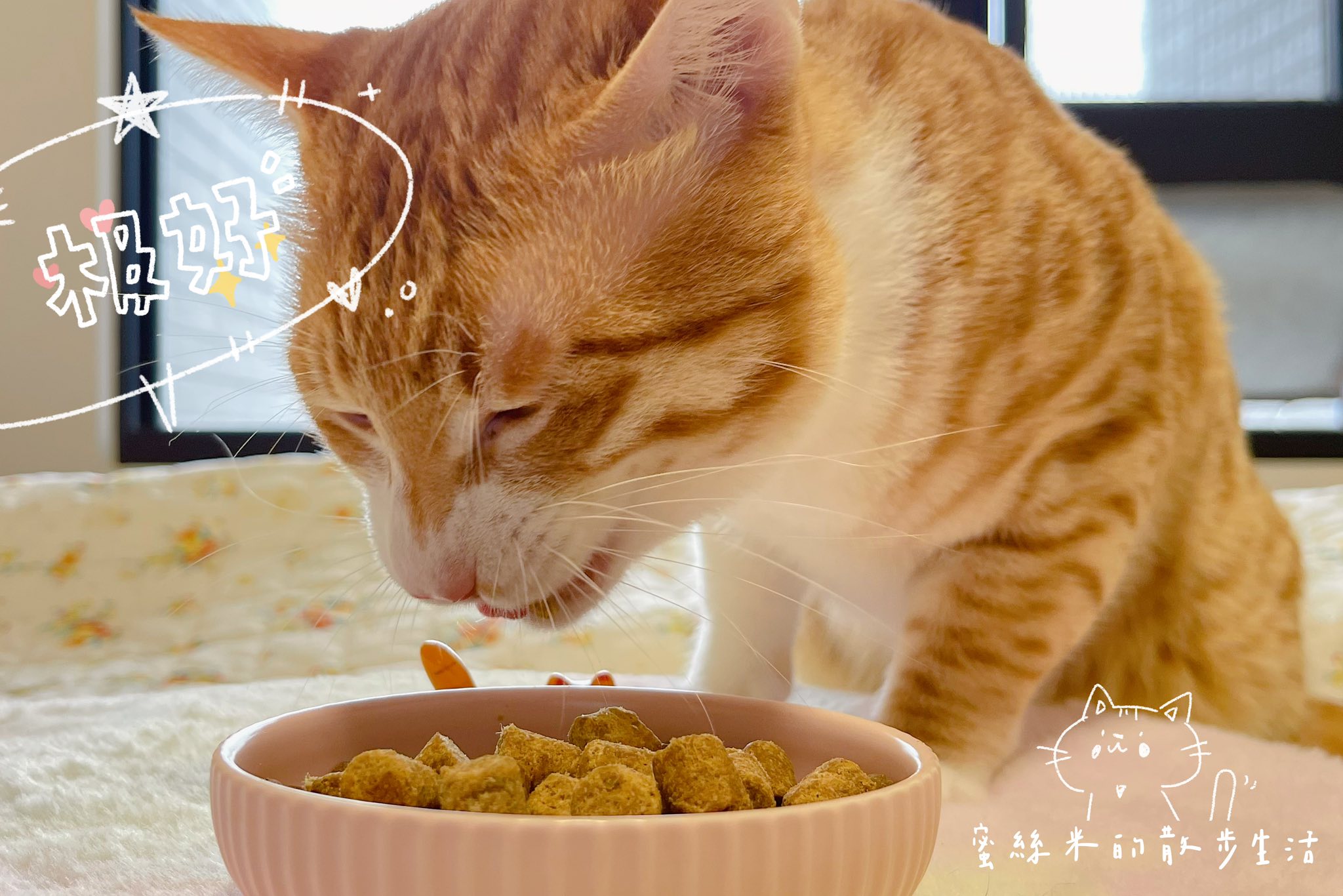 【貓奴必看】挑嘴貓咪變身貪吃鬼!美國原點Instinct雞肉凍乾全貓糧,WDJ連年推薦鮮肉凍乾超誘人,適口性爆棚! @蜜絲米的散步生活 @蜜絲米的散步生活