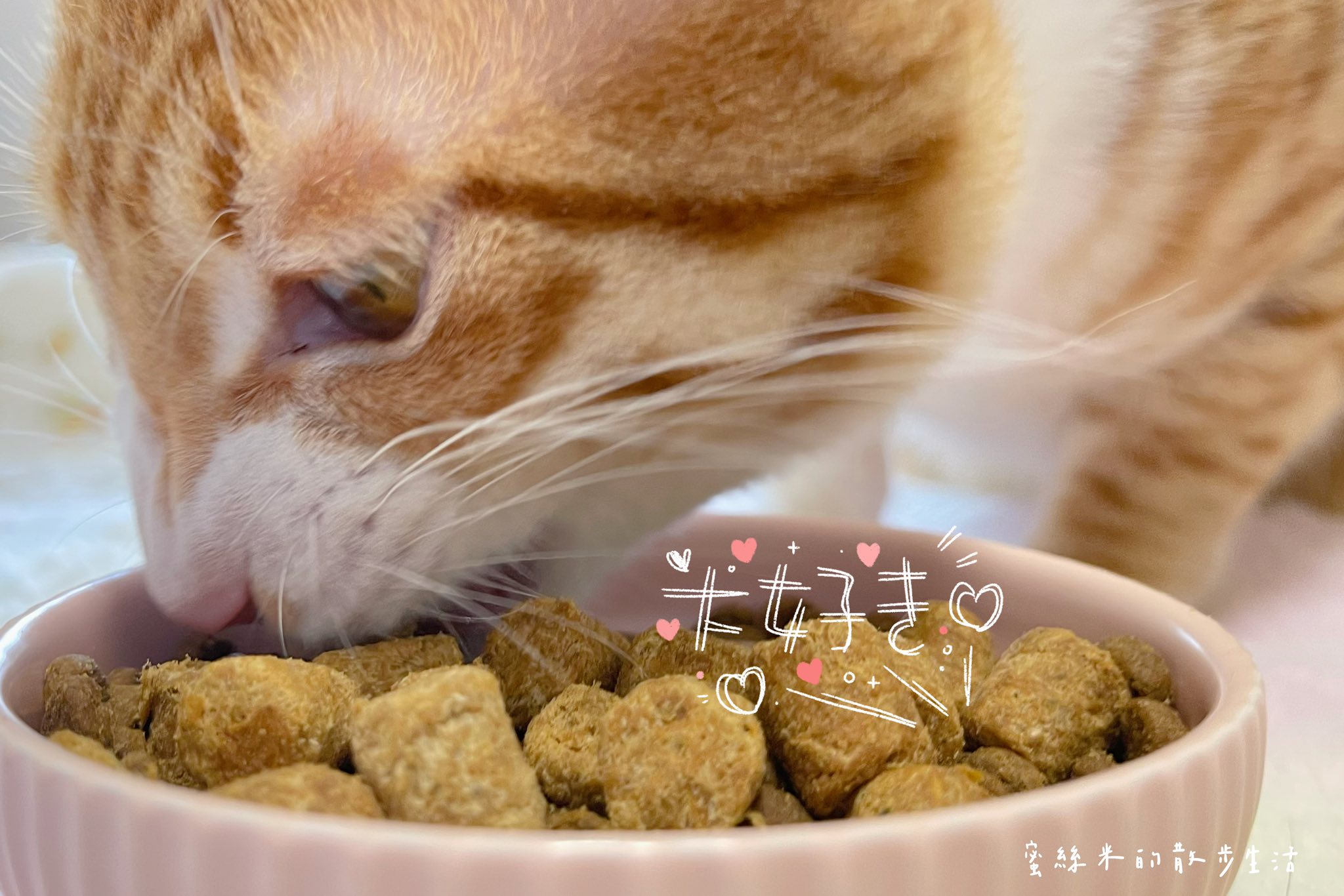 【貓奴必看】挑嘴貓咪變身貪吃鬼!美國原點Instinct雞肉凍乾全貓糧,WDJ連年推薦鮮肉凍乾超誘人,適口性爆棚! @蜜絲米的散步生活 @蜜絲米的散步生活