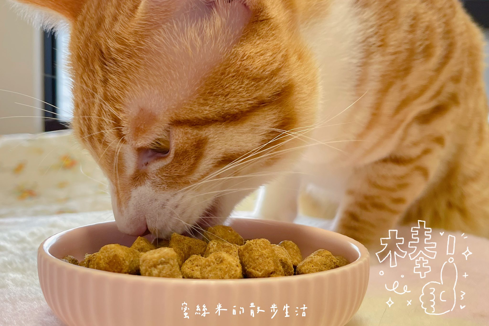  @蜜絲米的散步生活