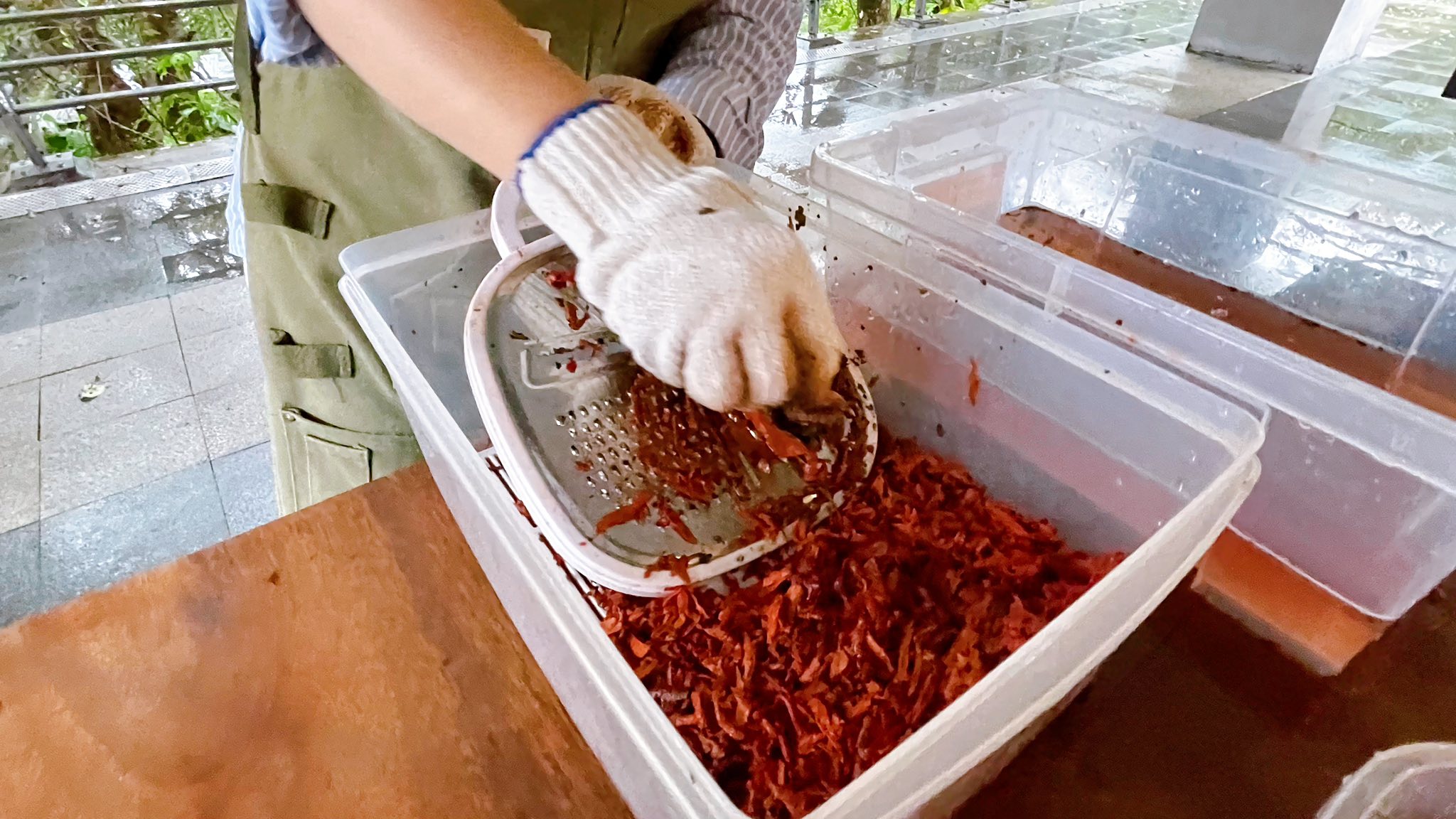 在情人湖敲山生,與泥土和植物低語|廖倫光博士帶領的北海岸民俗植物泥染紀實.首章 @蜜絲米的散步生活 @蜜絲米的散步生活