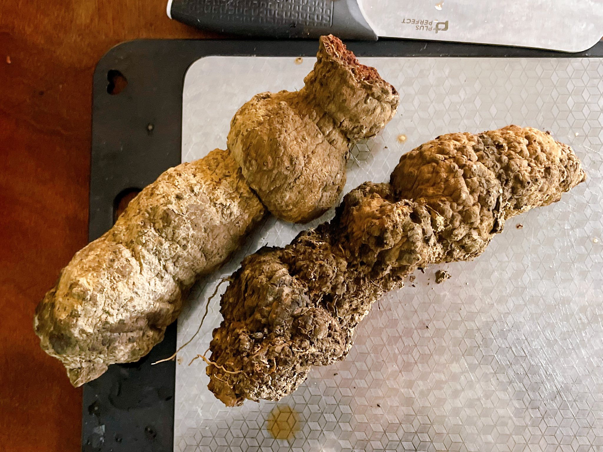 在情人湖敲山生,與泥土和植物低語|廖倫光博士帶領的北海岸民俗植物泥染紀實.首章 @蜜絲米的散步生活 @蜜絲米的散步生活