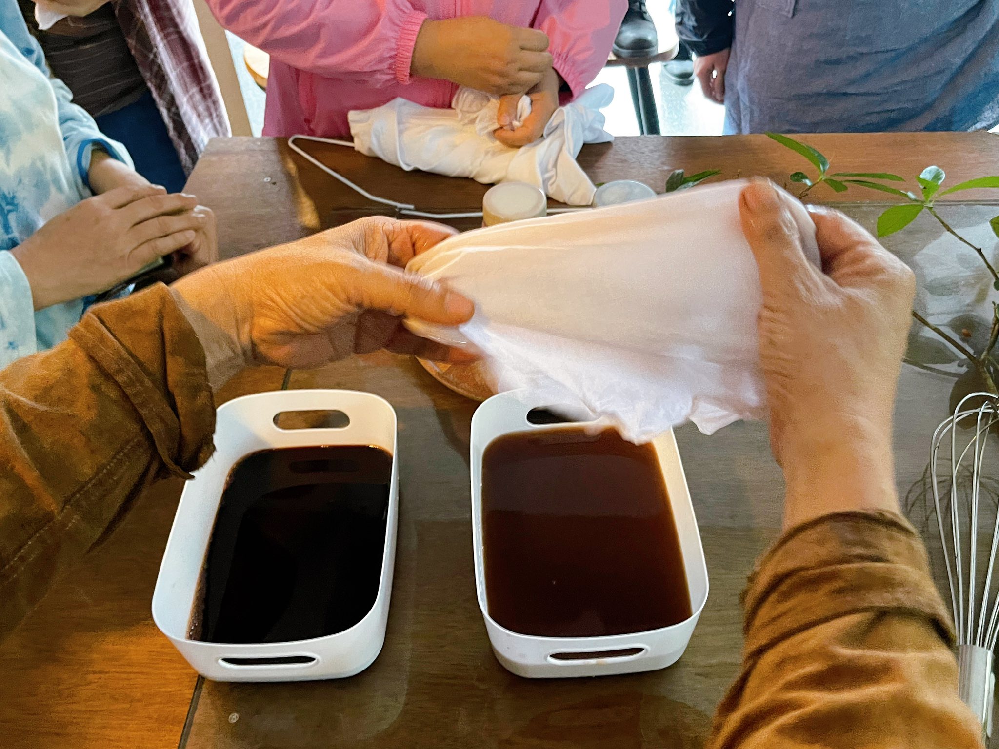  @蜜絲米的散步生活