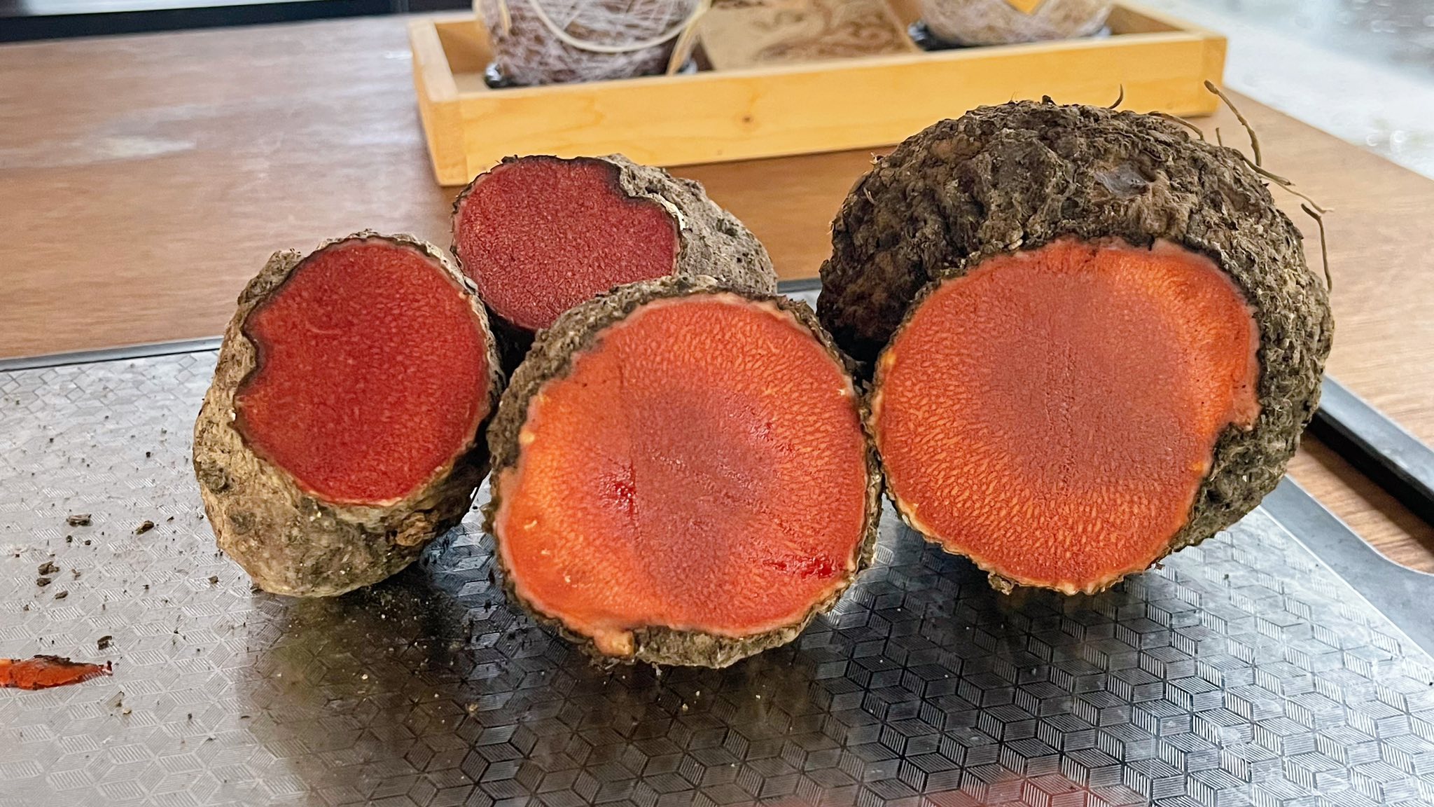 在情人湖敲山生,與泥土和植物低語|廖倫光博士帶領的北海岸民俗植物泥染紀實.首章 @蜜絲米的散步生活 @蜜絲米的散步生活