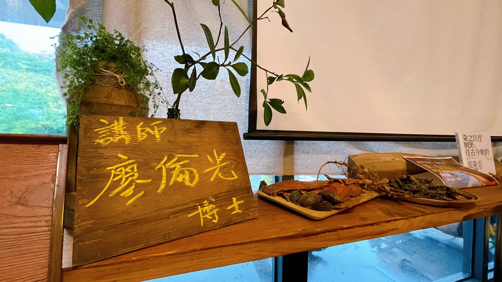 在情人湖敲山生,與泥土和植物低語|廖倫光博士帶領的北海岸民俗植物泥染紀實.首章 @蜜絲米的散步生活 @蜜絲米的散步生活