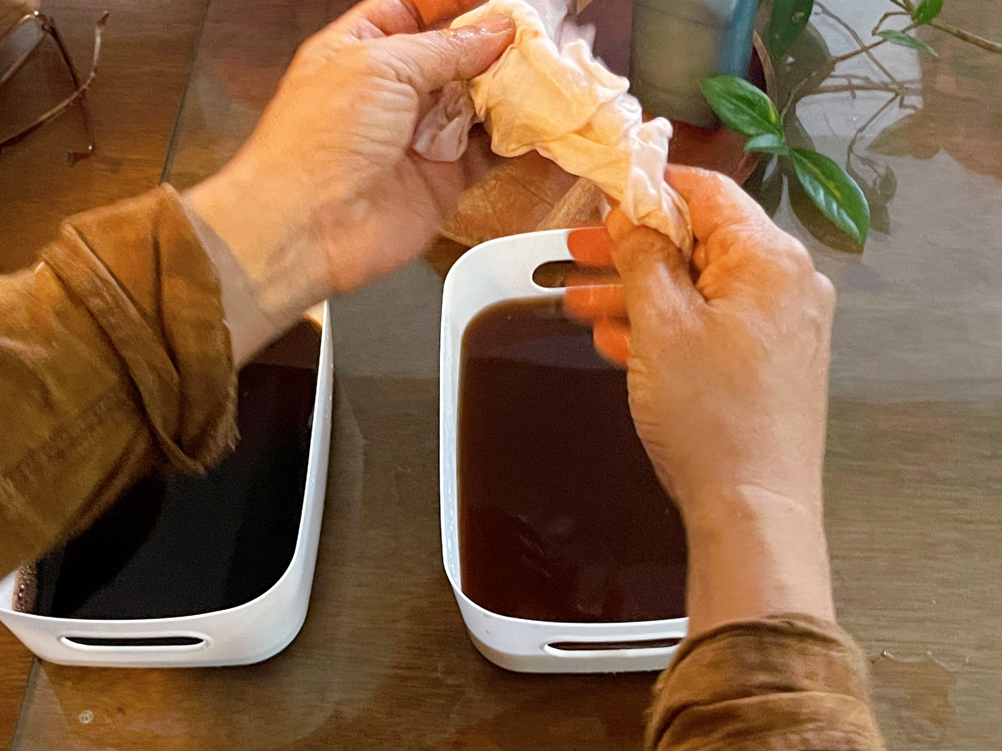  @蜜絲米的散步生活